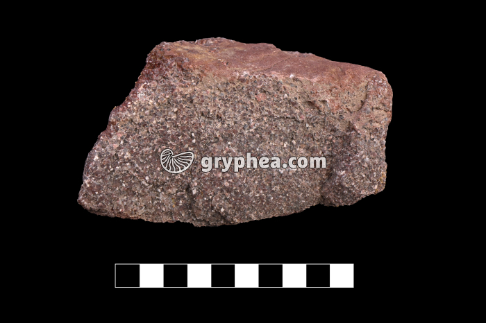 Rhyolite - échantillon.jpg - gryphea.org